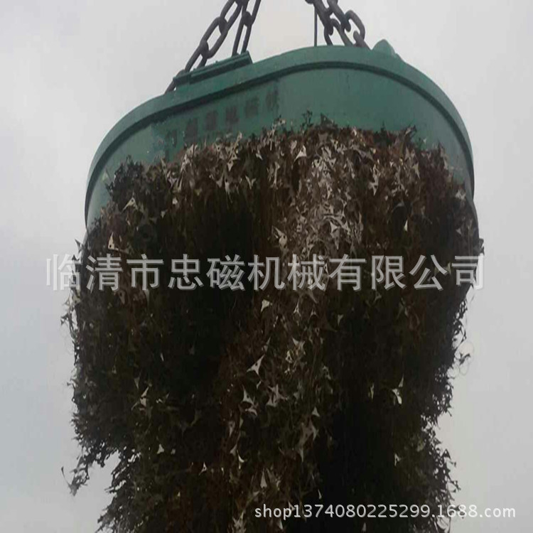 临清市忠磁机械有限公司