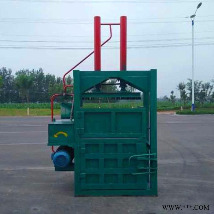 零碎下角料打包机 泡沫软管压块机 双缸立式废纸打块机图片图6