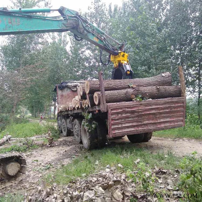 价格实惠抓石器 DX260抓木器 抓废铁抓木器抓钢材抓木器抓甘蔗抓木器图3