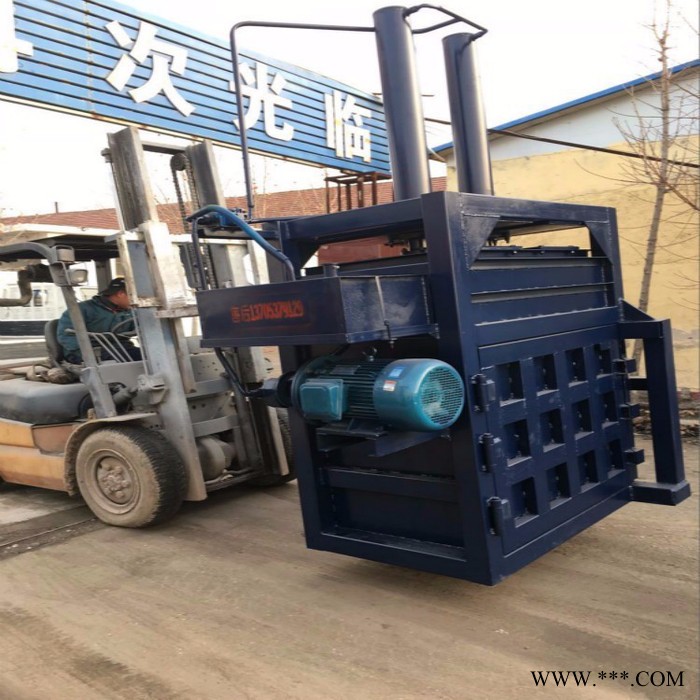 粽叶液压打包机  20吨废铁丝压包机  耐用大型废纸压缩机厂家图4