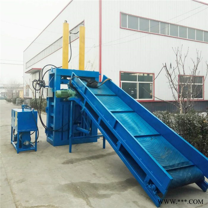 300带大型立式液压打包机 废铁废铜压包机 金属立式压块机厂家图4