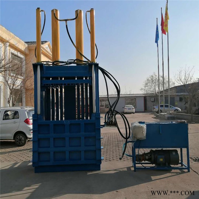 300带大型立式液压打包机 废铁废铜压包机 金属立式压块机厂家图6