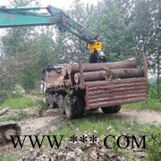 抓钢器  XE225抓木器 抓废铁抓木器抓散料抓木器抓石器抓木材抓木器图4