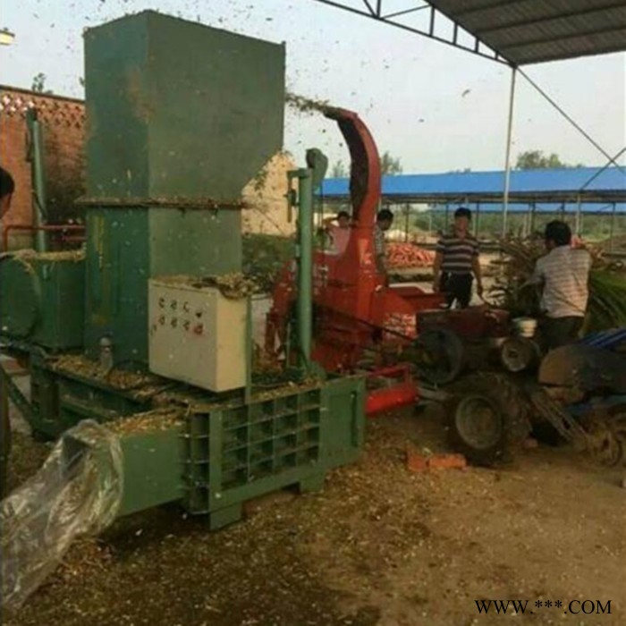 睿迪牌全自动卧式纸箱液压打包机 废铝废铁皮压包机图2