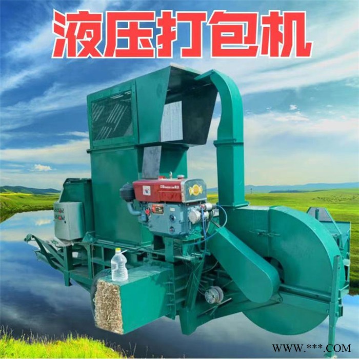 艾草揉搓压块机 废旧金属打包机 废铁半自动打包机图5