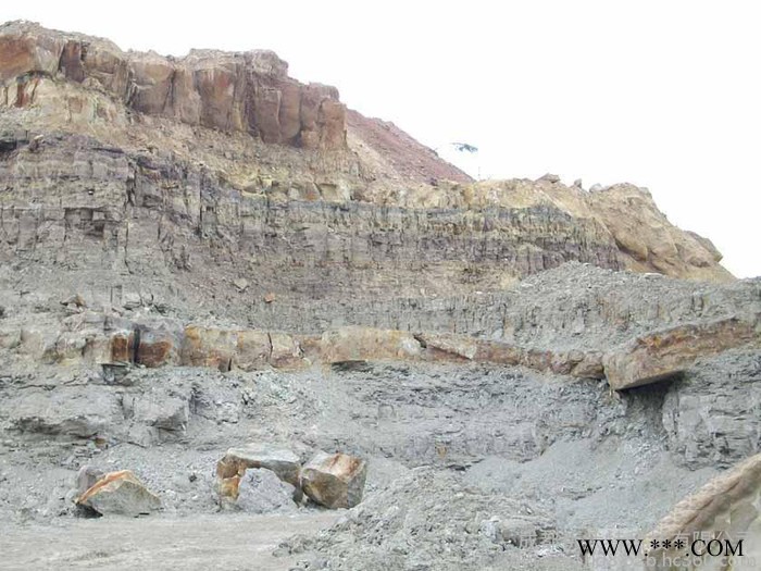 [厂家品质保证] [量大从优] 废油回收白土 用于废油回收脱色处理图3