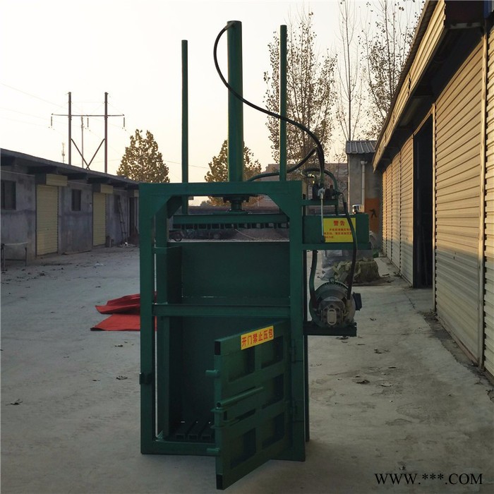 双缸废铁金属打包机 单相电废纸打包机 易拉罐打块机**图2