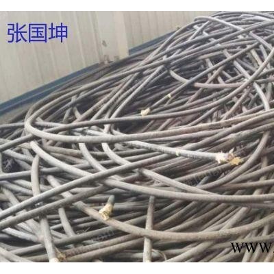 广东常年现金求购废旧电缆